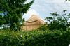 gal/Sparred on Water Reed, Shropshire/_thb_mini-Thatching Pic (12).jpg